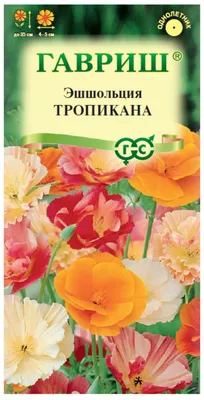 Эшшольция - золото солнца - Садовые цветы - Лепесток - Любительское  цветоводство