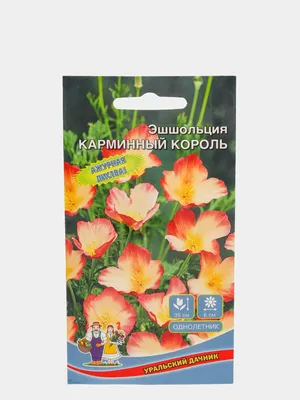 Цветы Эшшольция Русский размер Золотая (35шт) - купить по выгодным ценам в  Москве и с доставкой по России
