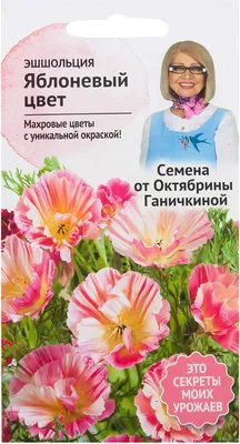 Эшшольция ЗОРЬКА. Прочие однолетние. Семена цветов. Интернет-магазин  Уральский дачник — Красивое растение с ярко-красными соцветиями!