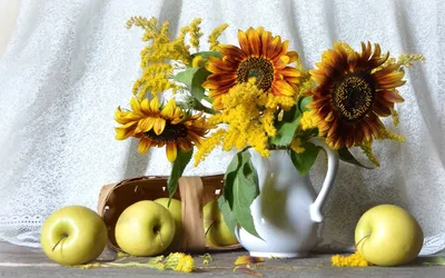 Цветы и фрукты (56 лучших фото)