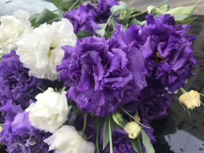 40x60 см Шелковая Роза Гортензия эвкалипт цветок стена Фотофон для  свадебной фотографии Декор искусственный цветок | AliExpress