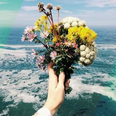 Цветы и море (56 фото)