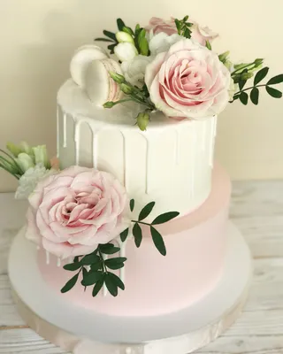 Как сделать сахарные цветы на торт купить оптом и в розницу в  интернет-магазине