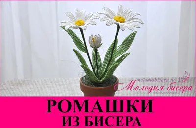 Цветок из бисера, Евгения Васильева – скачать книгу fb2, epub, pdf на ЛитРес