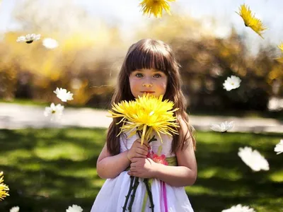 Ромашка цветок рисунок для детей - 67 фото