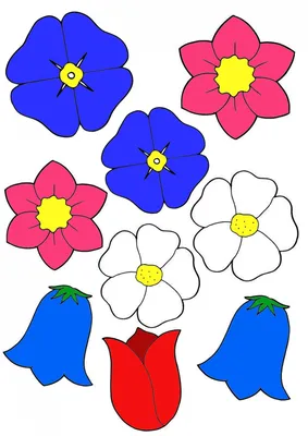 7 -цветок цветов Изображение ярких развитие детей Изолированные на белом  фоне Иллюстрация вектора - иллюстрации насчитывающей цветок, цвет: 166986318