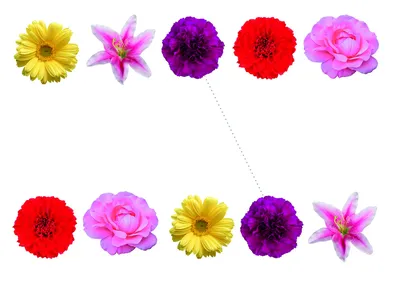Нарисованные цветы для детей - 64 фото