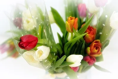 VIP букет весенних цветов на 8 марта Символ удачи заказать, купить с  доставкой в Минеральных Водах | Магазин цветов с доставкой по Минеральным  Водам и служба доставки цветов в Минеральных Водах Роза-Красная.рф -