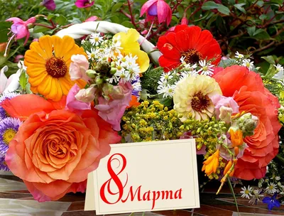Жителям Марий Эл рассказали как выбрать свежие цветы к 8 Марта | Новости  Йошкар-Олы и РМЭ