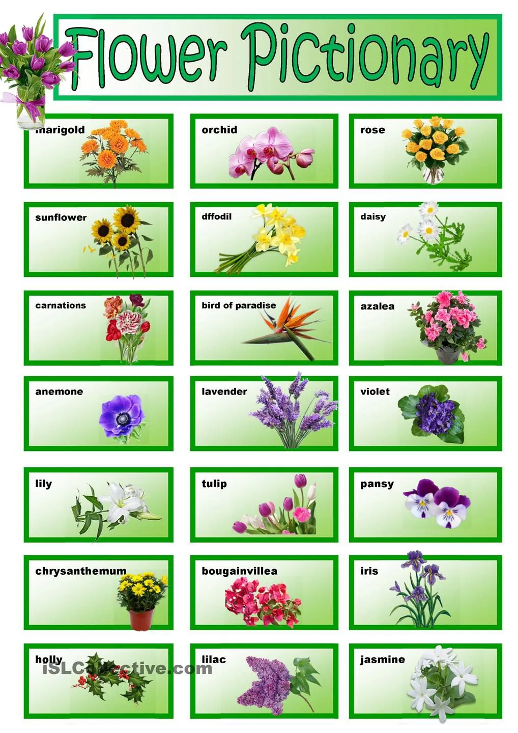 Planting vocabulary. Цветы названия. Названия цветов растений. Названия цветов на английском растения. Цветы карточки для детей с названиями.