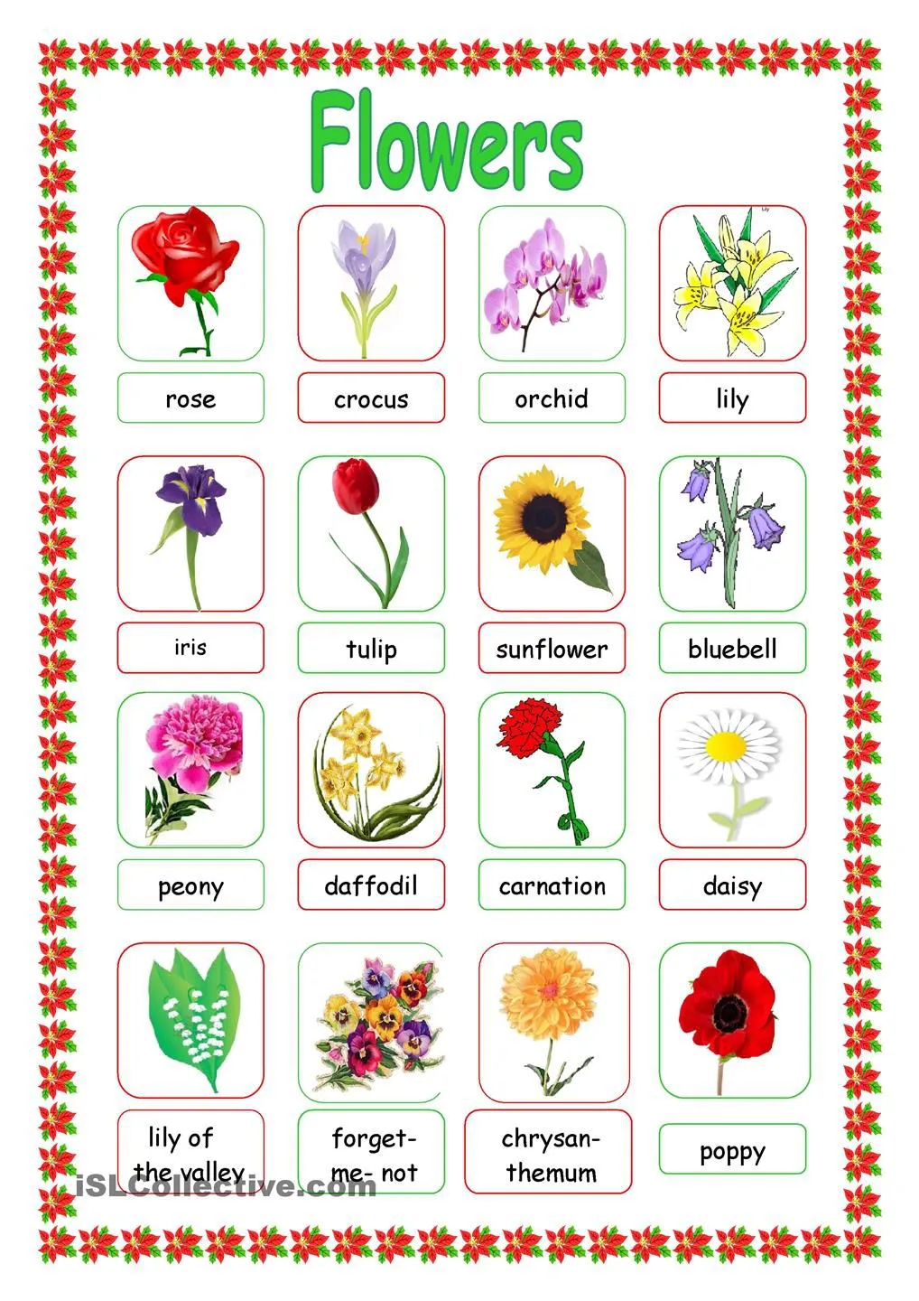 Цветы на английском языке названия. Цветы названия по английскому. Названия цветков на англ. Названия цветов на английском растения.