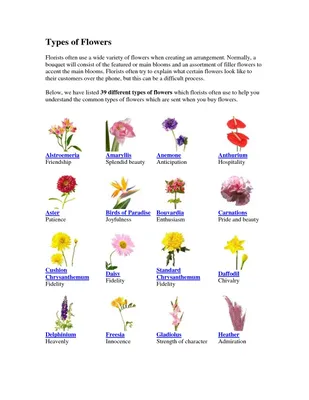Цветы на английском с картинками фотографии