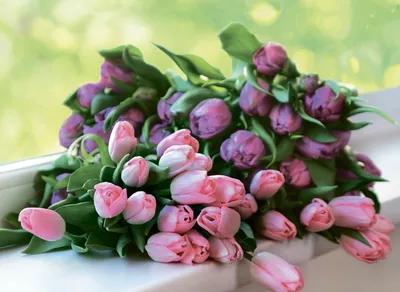 Какие цветы лучше подарить женщине на 8 Марта? – статьи компании «БукетОпт»