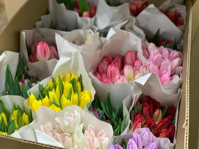 Матвиенко возмутили цены на цветы перед 8 Марта - РИА Новости, 03.03.2021