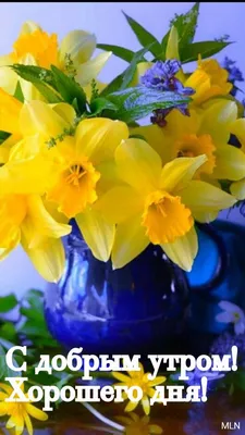 С добрым утром | Доброе утро, Цветки орхидеи, Утренние цитаты
