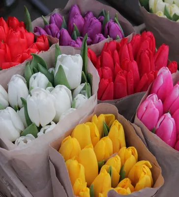 Букет из тюльпанов и стифы - Доставкой цветов в Москве! 14812 товаров! Цены  от 487 руб. Цветы Тут