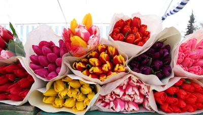 Коробка с цветами «Синие ирисы и белые тюльпаны», артикул: 333009686, с  доставкой в город Москва (внутри МКАД)
