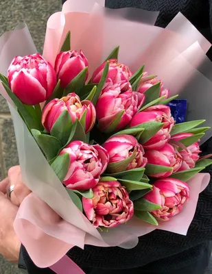 Розовые тюльпаны поштучно от /шт. Купить цветы.
