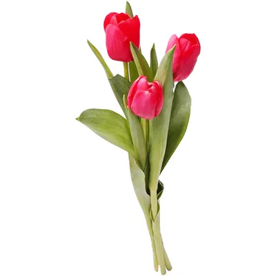 Букет 51 тюльпан, красно-белый микс купить за 8 790 руб. с круглосуточной  доставкой | Мосцветторгком