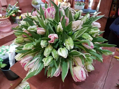 Букет из 55 тюльпанов - Доставка свежих цветов в Шарыпово