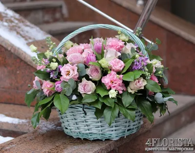 Подарок для милой: сколько стоят цветы в горшках к 8 Марта в Хабаровске