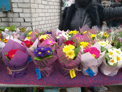 корзинка с первоцветами на 8 марта | Луковичные цветы, Первоцветы, Шёлковые  цветочные композиции