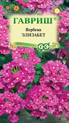 Вербена Обсешн Твистер Ред (Семена Профи) (ЦВ) (\"1) 10 шт купить в  интернет-магазине RemontDoma