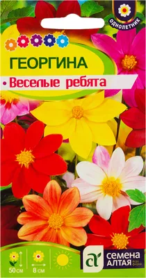 Семена цветов георгины Веселые ребята 0,3 г. Флора плюс (ID#1141056369),  цена: 9 ₴, купить на Prom.ua