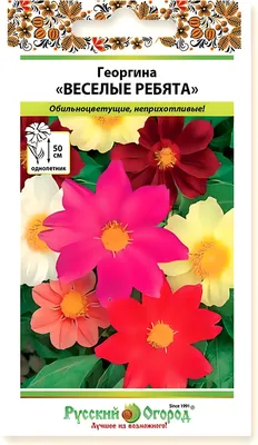 Георгины однолетние, Декоративные разные Агрофирма Аэлита Однолетние цветы  - купить по выгодным ценам в интернет-магазине OZON (924413011)