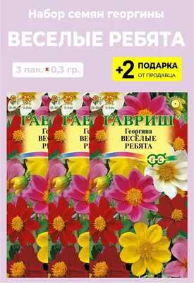 Георгина Веселые Ребята , смесь 0,3 купить оптом в Томске по цене 16,16 руб.