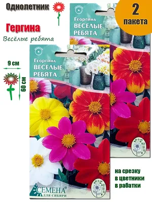 Георгина Веселые ребята смесь Семена Украины - купить семена цветов по  самой доступной цене с доставкой по всей Украине - Агромагазин “Фазенда”