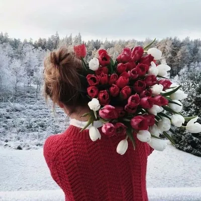 Блог | Какие цветы дарить в зимний период?