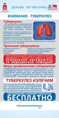Туберкулез, профилактика туберкулеза — mon-crb