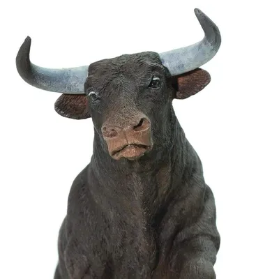 Primigenius быка тура животное Стоковое Фото - изображение насчитывающей  напольно, задира: 87387528
