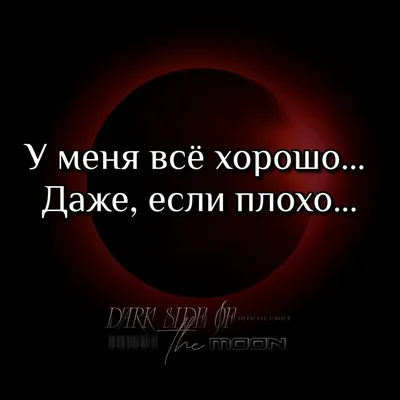 Я не пью витамины и у меня все отлично, чувствую себя прекрасно»-часто ли  вы слышите эту фразу? Мы-да и, к сожалению, зачастую человек не… | Instagram