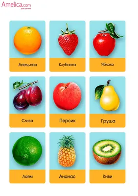Учим фрукты и овощи картинки