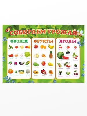 Развивающий плакат для детей учим фрукты, Формат А3, Развивашки для детей , Учим  фрукты и овощи - купить с доставкой по выгодным ценам в интернет-магазине  OZON (641163218)