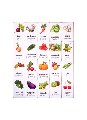 Игра развивающая \"Учим цвета, фрукты и овощи\" (1186624) - Купить по цене от  119.90 руб. | Интернет магазин SIMA-LAND.RU