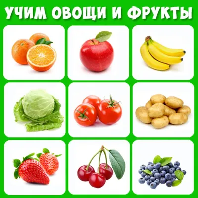 Иллюстрация 4 из 8 для Овощи и фрукты 3-12 лет - Н. Шишова | Лабиринт -  игрушки.