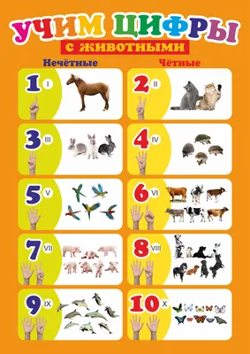Развивающие мультики для детей Домашние животные Учим животных для самых  маленьких Учимся говорить | Каруселька tv Для малышей | Дзен