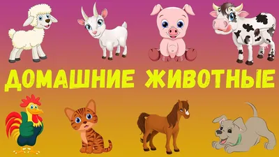 Домашние животные Карточки Домана для малышей - YouTube