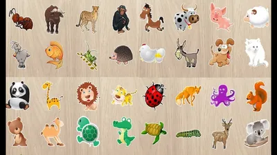 Сборник Песенки для Детей Учим животных Развивающие мультики для детей  малышей - YouTube