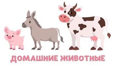 Пазл разрезные картинки «Учим животных» (531820) - Купить по цене от 200.00  руб. | Интернет магазин SIMA-LAND.RU