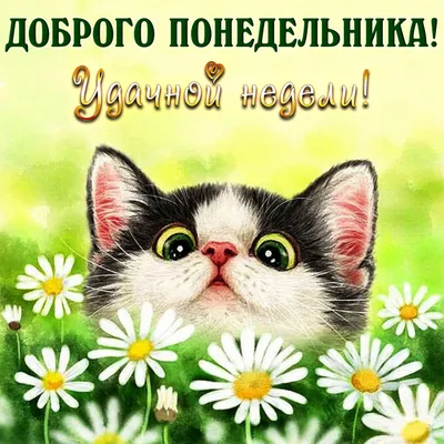 Открытки - Легкого понедельника и удачной недели! | Facebook