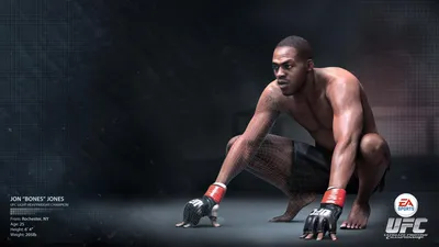 Обои Спортивная игра EA SPORTS UFC » Скачать красивые HD обои (картинки) на рабочий  стол (экран) и на телефон бесплатно