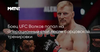 члены команды Ufc по обе стороны от чего то похожего на черный фон,  картинки Ufc, юфс, боец фон картинки и Фото для бесплатной загрузки