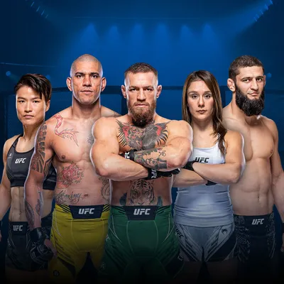 UFC PPV: How Much is the UFC 295 PPV? | Digital Trends