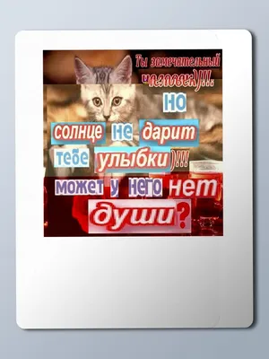 Коврик для мыши с принтом Разное Мемы (смешные, картинки, мем,  одноклассники, открытка, котик) - 24731 - купить с доставкой по выгодным  ценам в интернет-магазине OZON (436419396)