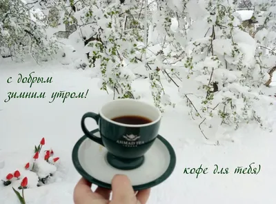 Сказочная открытка - доброе утро с зимой