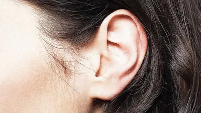 Силиконовая модель уха, имитирующая искусственное правое ухо для приема  слухового аппарата - купить с доставкой по выгодным ценам в  интернет-магазине OZON (792686379)